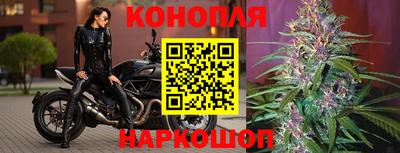 jwh Лесосибирск