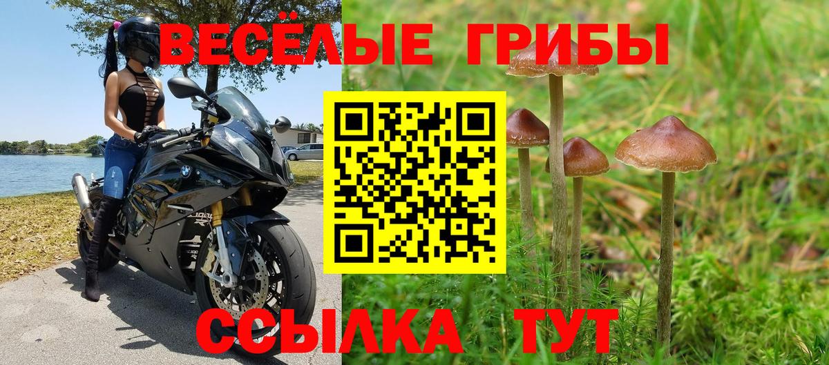 магазин    Псилоцибиновые грибы прущие грибы  Псилоцибиновые грибы ЛСД  Вход с VPN  Каменск-Уральский 